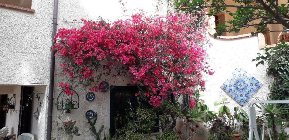 Holiday Home Cala Bianca Castellammare del Golfo Exterior photo